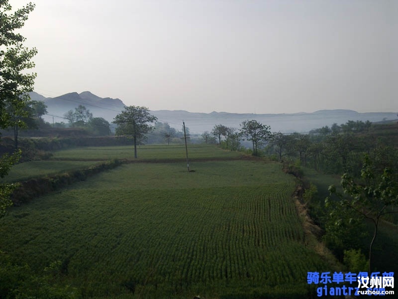 1105081437164ce70b0722f19a.jpg