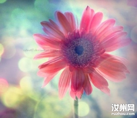 20110520093230_9261.jpg