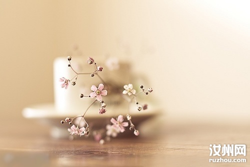20110411124200_27609.jpg