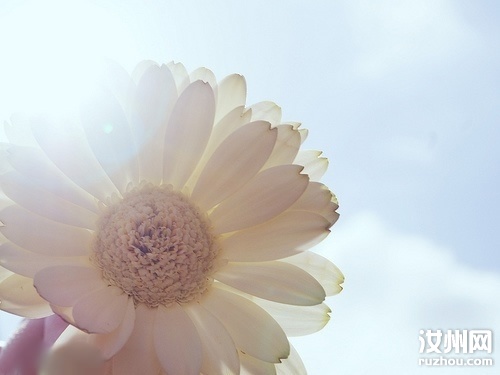20110411124320_41562.jpg