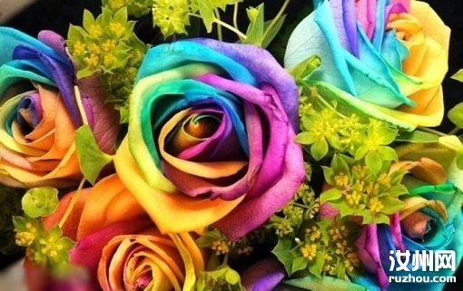 20110411124339_15476.jpg