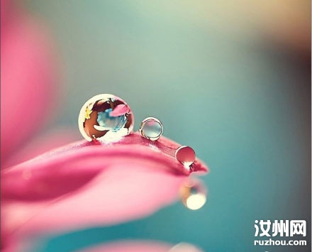 20110603093421_5779.jpg