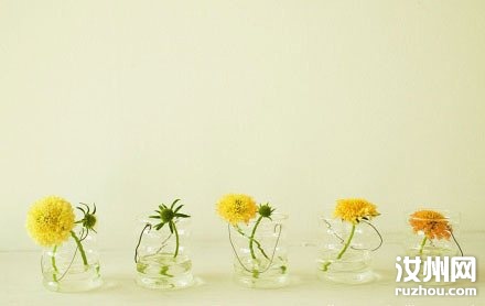 20110601092227_5323.jpg