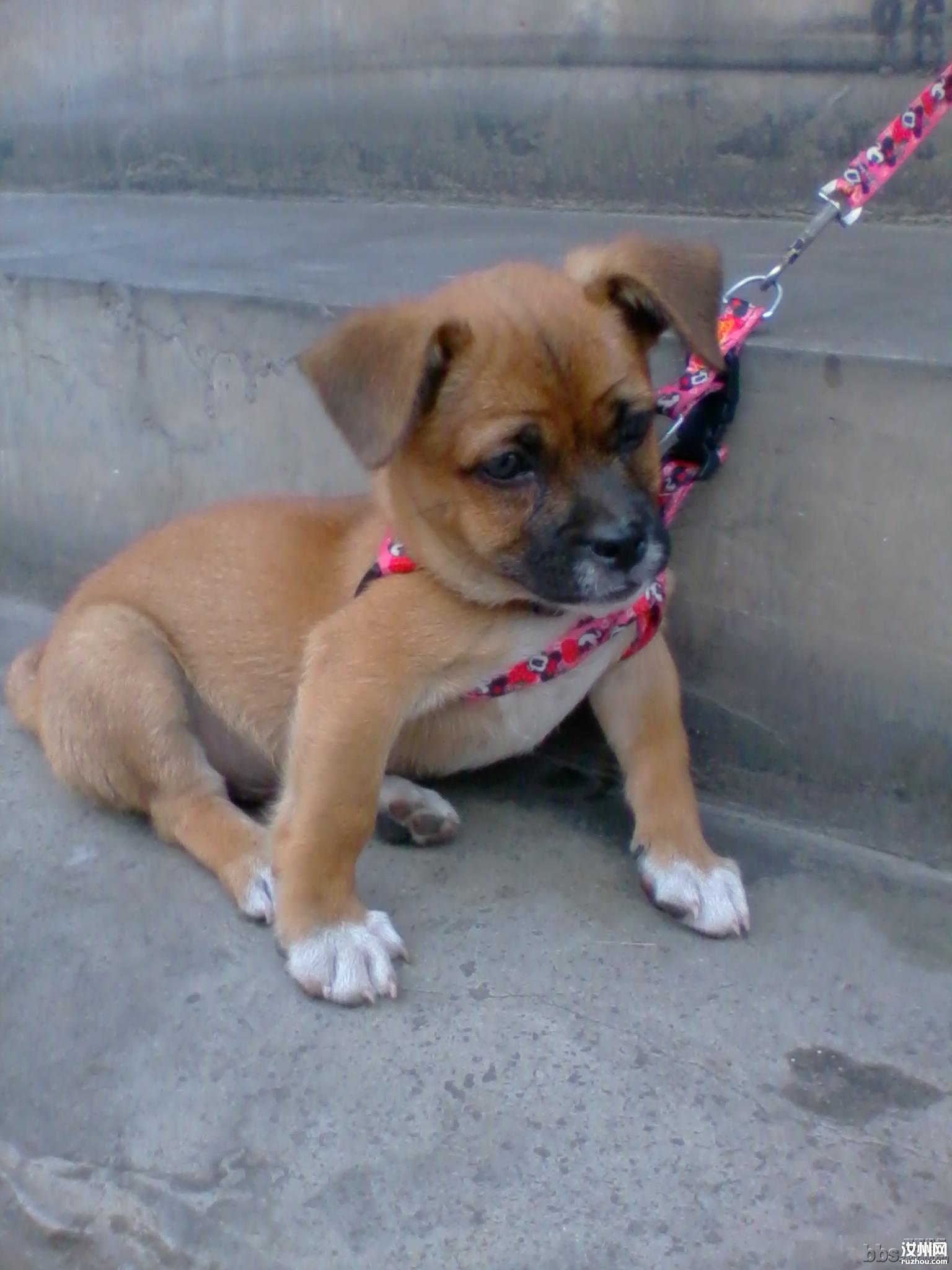 2011-06-05 18.23.02.jpg