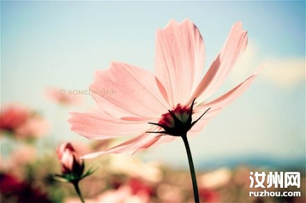 20110524094312_2283.jpg