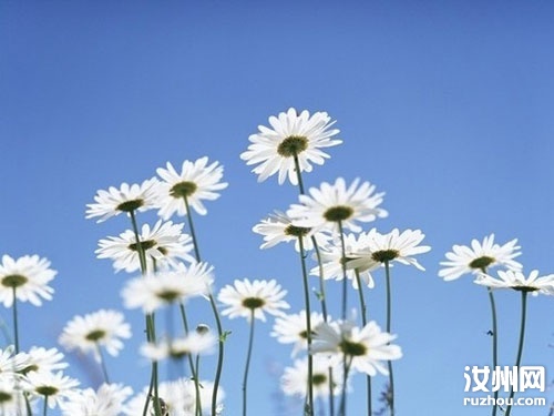 20110609093206_6347.jpg