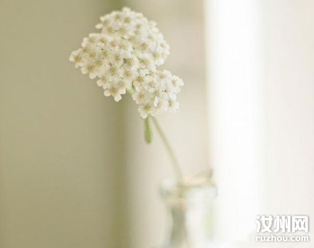 20110610092343_6365.jpg
