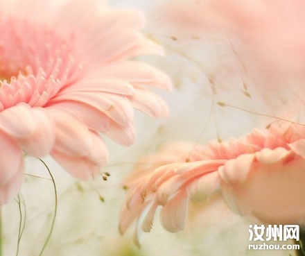 20110614092757_8224.jpg