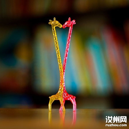 20110621131347_6923.jpg
