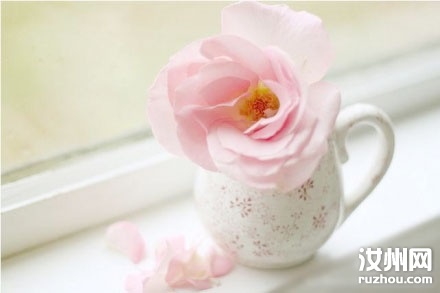 20110621093655_7241.jpg