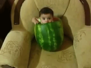 40274ca3c67d236c70a8a3704552feb0.gif