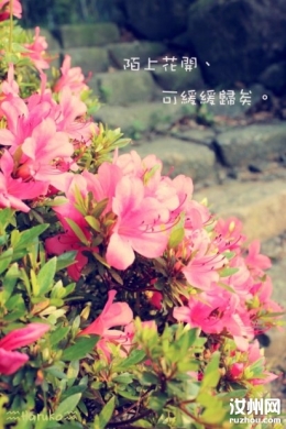 陌上花開