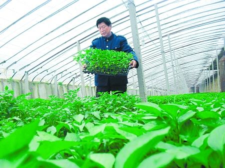 一年之计在于春 我省农民享政策优惠 得技术支持