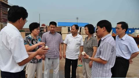 平顶山市人大常委会莅汝调研项新农村建设工作